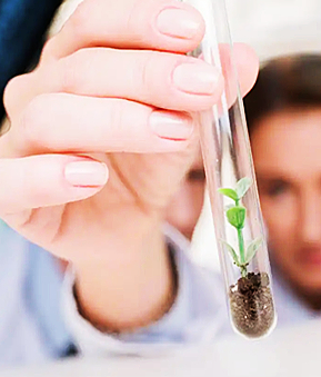 植物生长应用(图1)